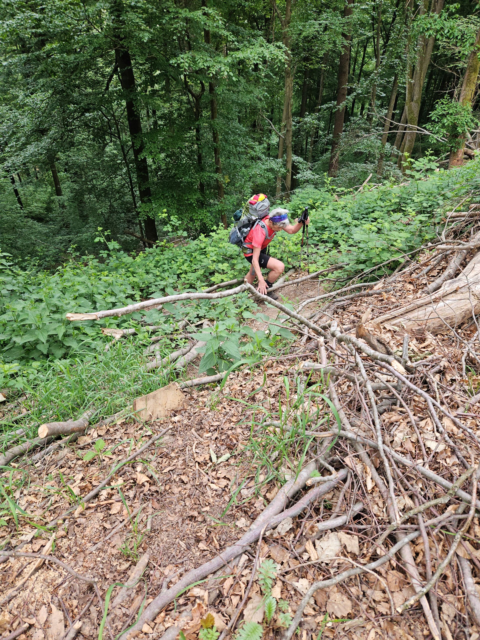 Small obstacle course at the end of the day