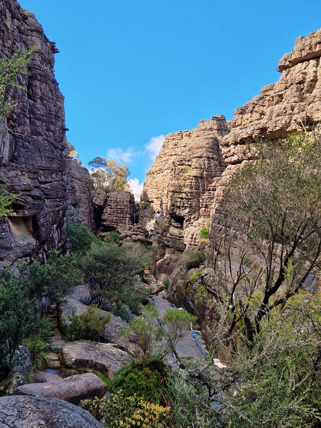 Genuss im Grampian Nationalpark