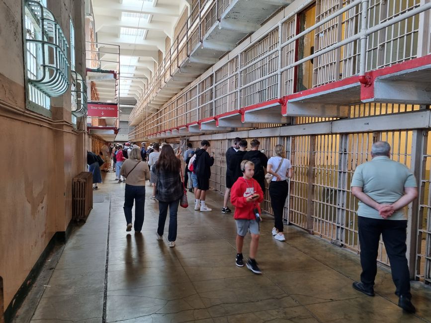 Californie 2025, Jour 9, Pier 39, Alcatraz, Chinatown et Lombard Street