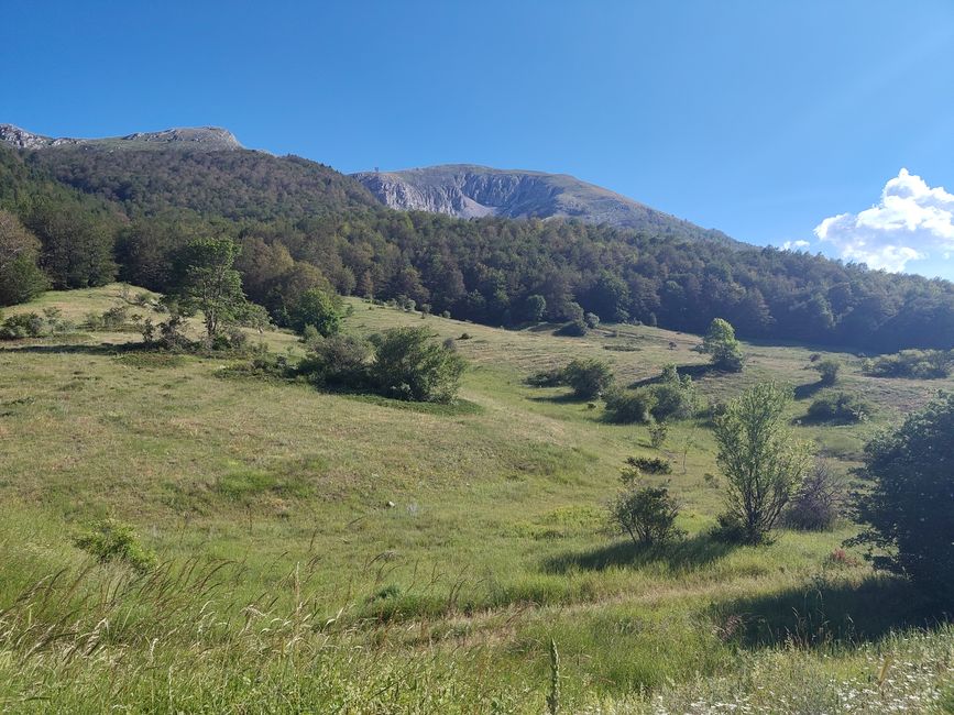 Il paragone con Heidi regge