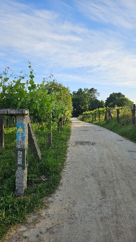 Tag 7 - Briallos nach Padron