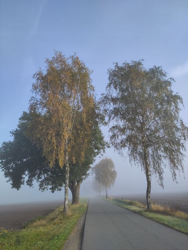 "Im Nebel ruhet noch die Welt..."
