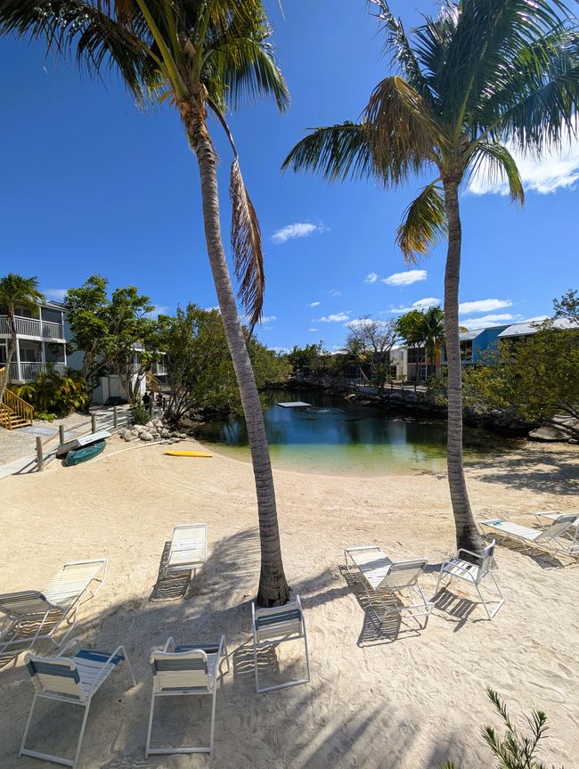 Key Largo - unsere Lagune am Airbnb