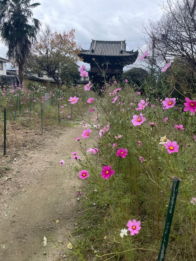 Hannya-ji Gate