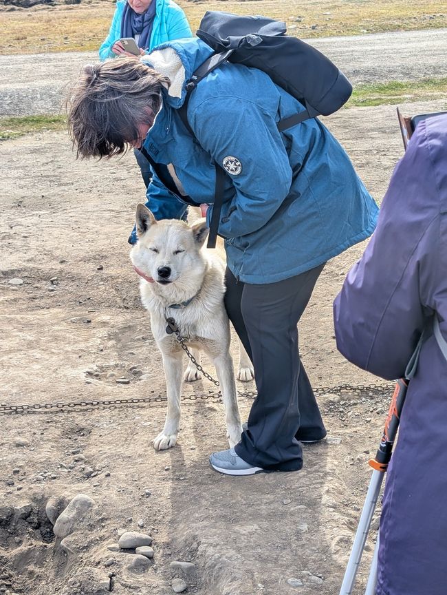 Spitzbergen / Svalbard (20 giugno/ June 20)