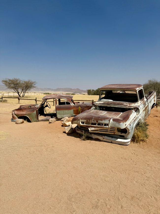 Namibia 2k25 🦓🏜️🐘