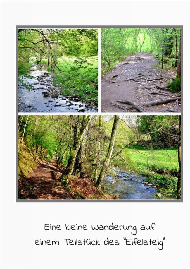 Non solo pesca a mosca sulla Kyll/Eifel
