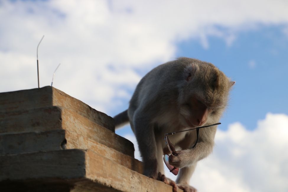 Day 11: Ubud and the Southern Tip of Bali