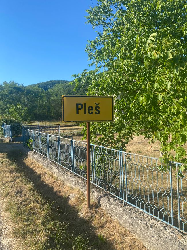 Segundo día