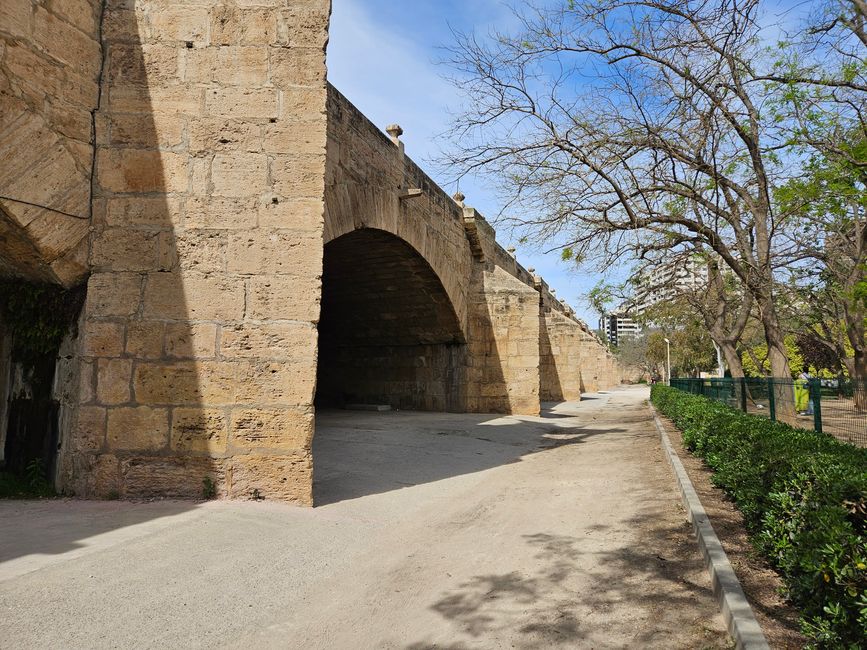 2025 - Aprile - Valencia - Parco del Turia
