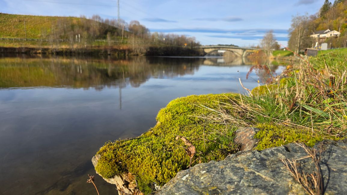 Trondheim 23-30 de octubre de 2025/25 de octubre