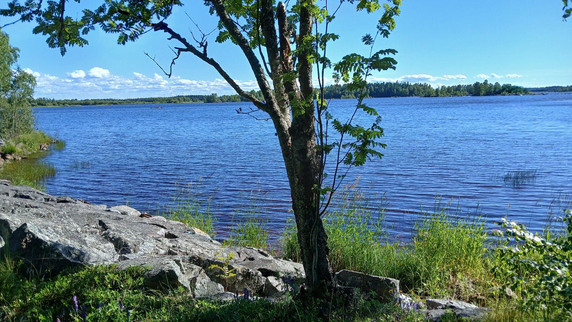 Tag 31