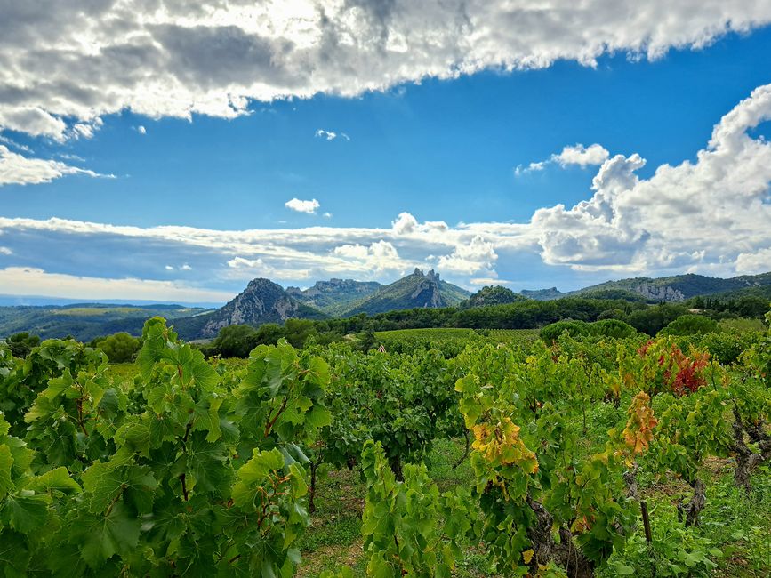 Dentelles de Montmirail