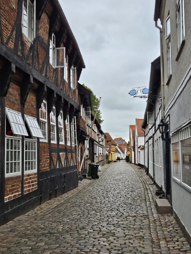Ribe