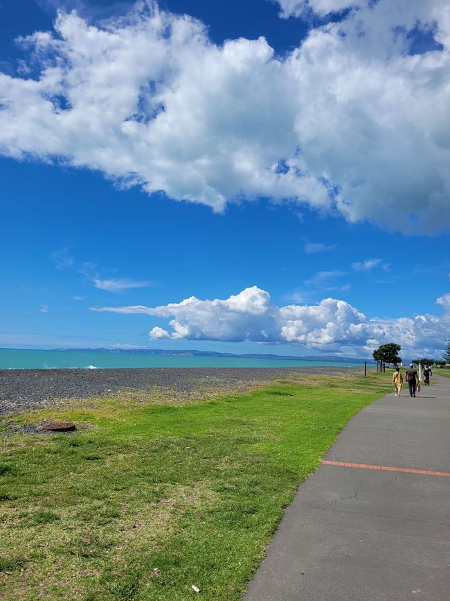 Giorno 81 di 175: Crociera intorno al mondo - Napier/Nuova Zelanda