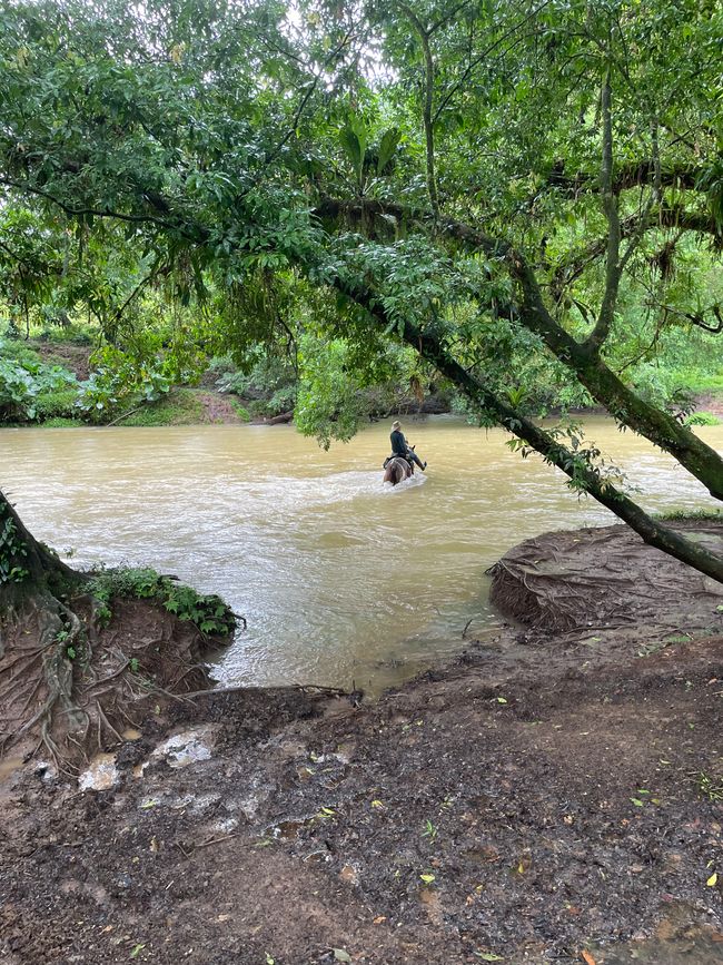 Zwei Ausflüge der besonderen Art