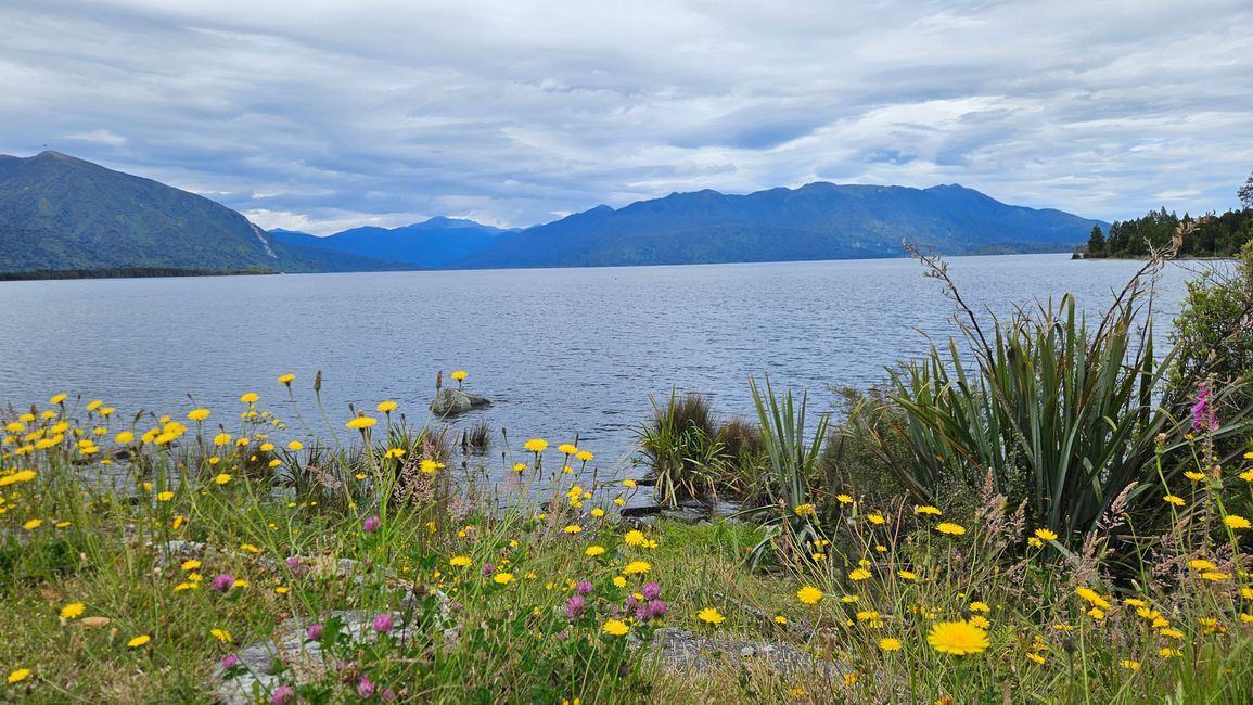 Charleston - Punakaiki - Greymouth - Arthur's Pass