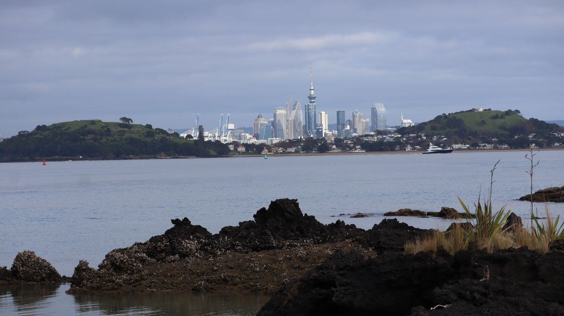 Woche 3 - Kia Ora Neuseeland!