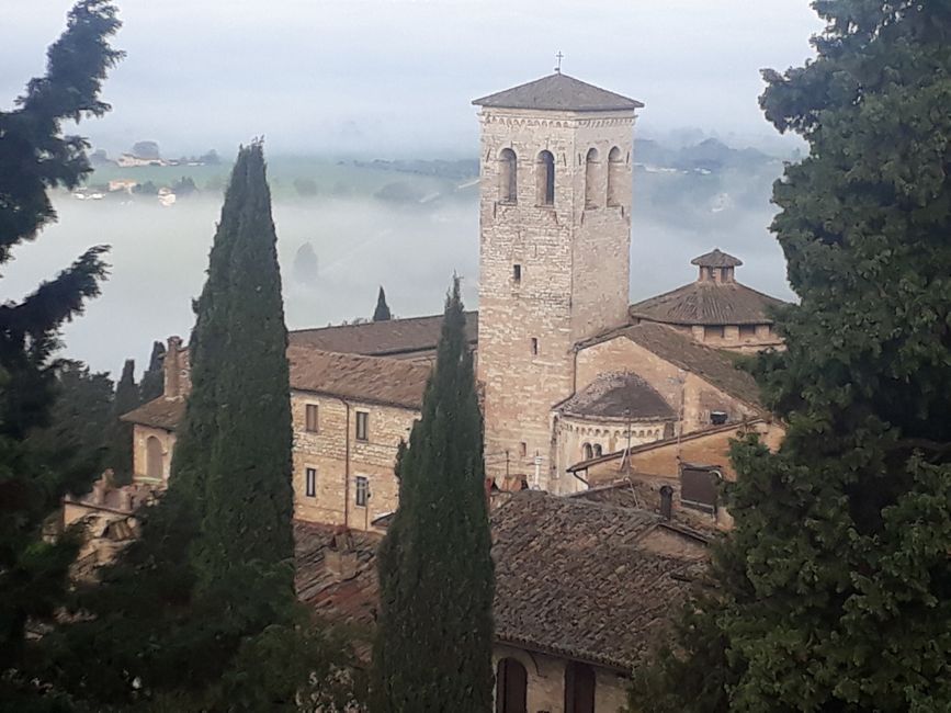 The morning view from my window: the fog is clearing and a sunny day is ahead.