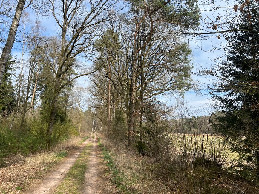 08 to Undeloh
