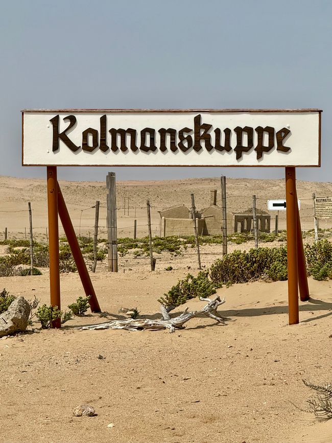 Namibia 2k25 🦓🏜️🐘