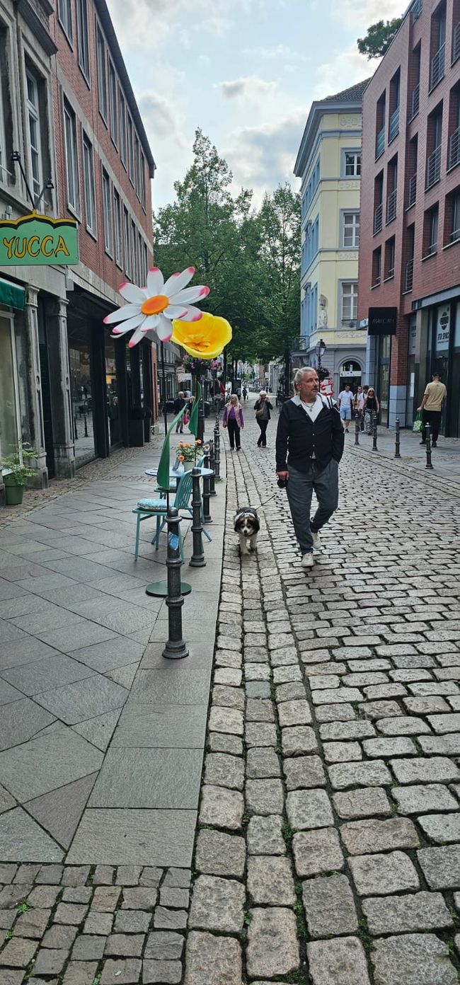 Aachen - definitely worth a visit!