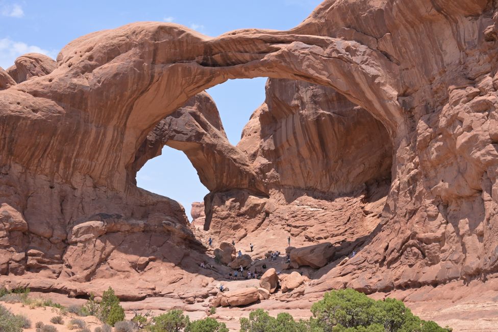 Windows Section - Double Arch