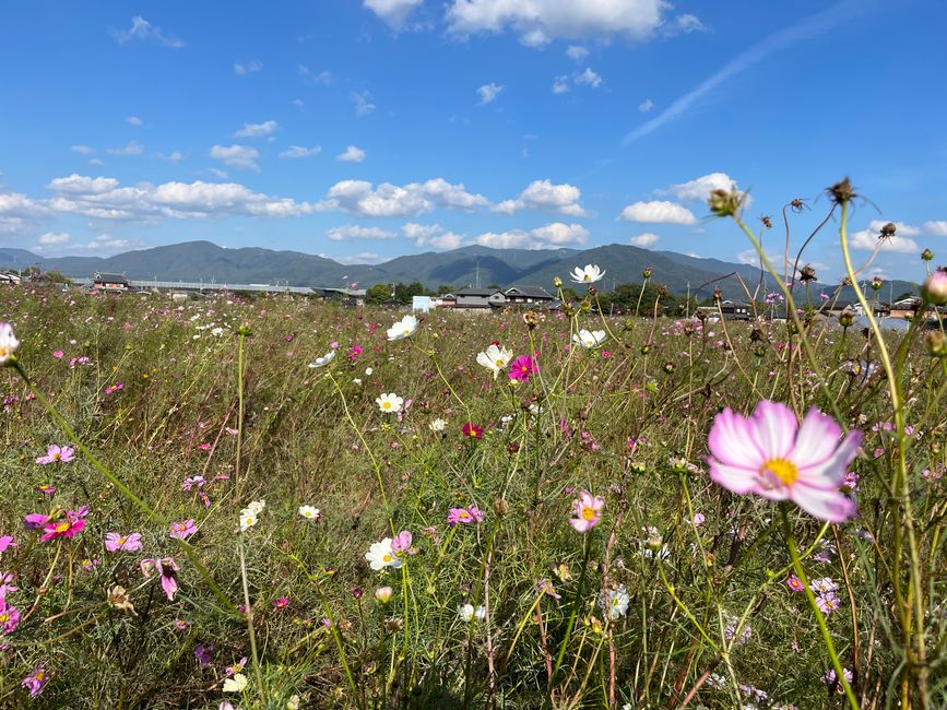 4.Kapitel: Ein bisschen vorzeitig ins Paradies