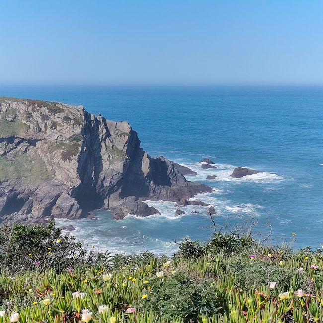 Zambujeira do Mar -> Almograve