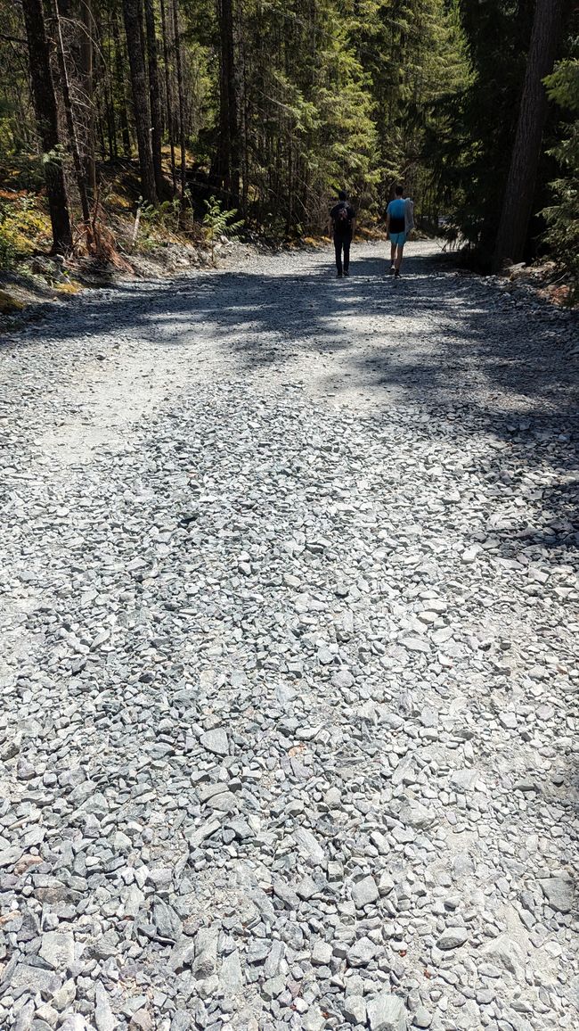 Upper Myra Falls Trail