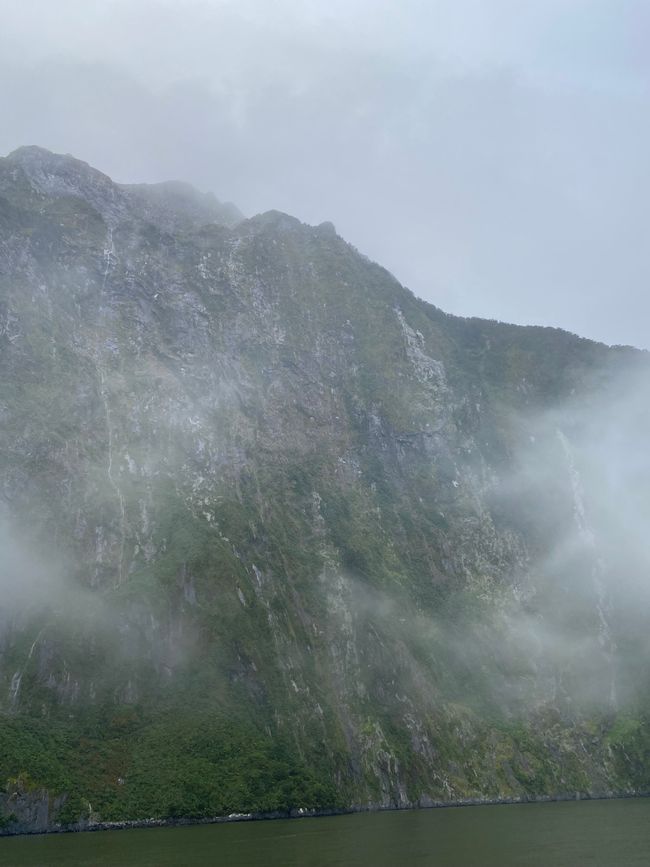 Road trip to Milford Sound