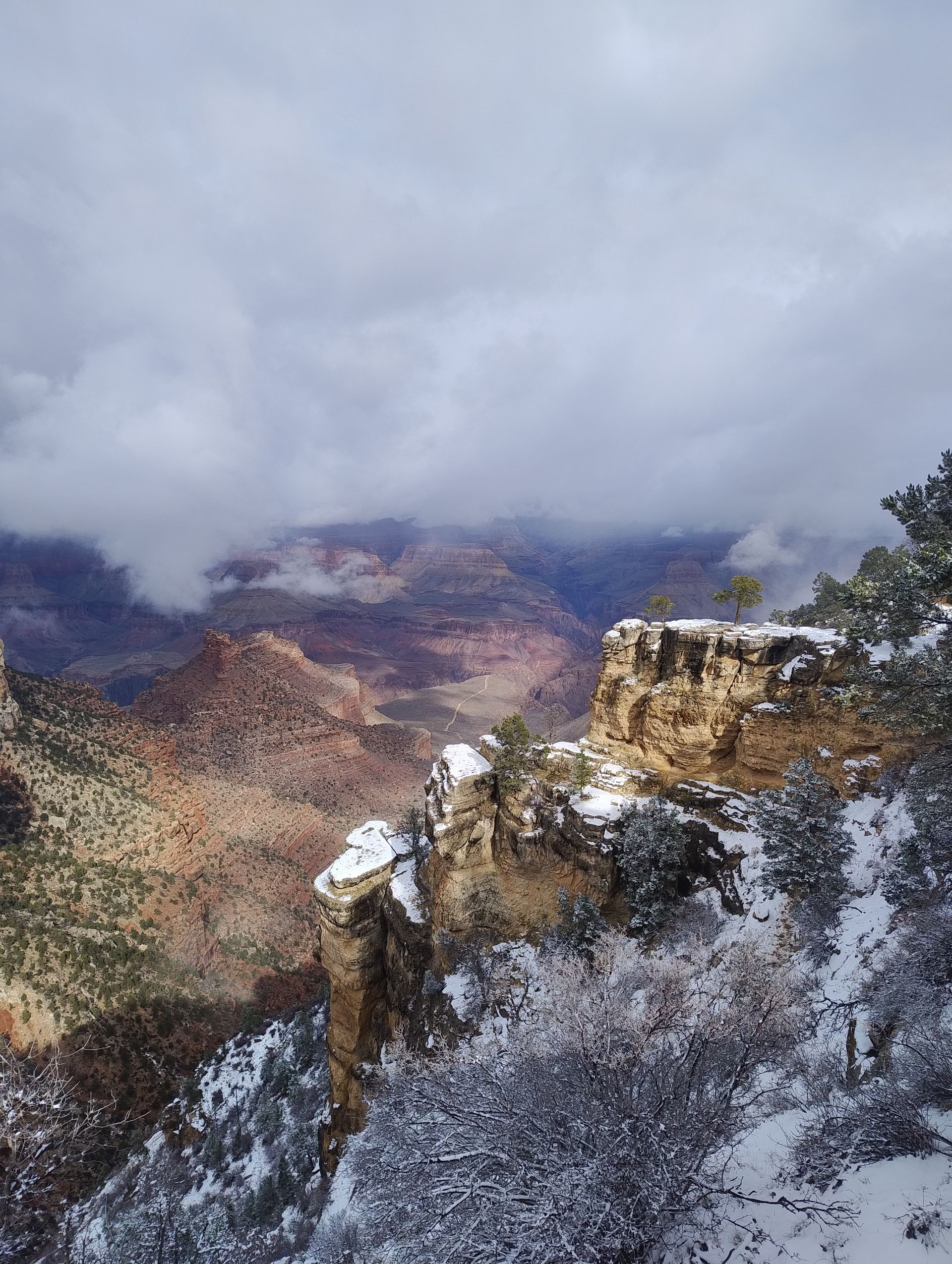 Arizona