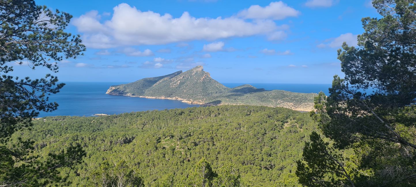 L'ingresso di Port Andratx a Ses Fontanelles
