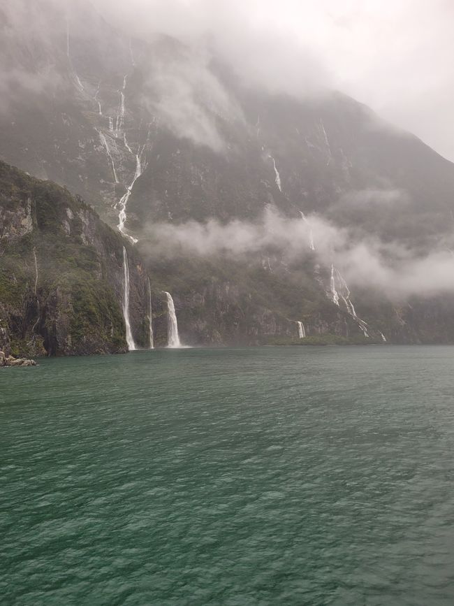 Tag 87 von 175: Kreuzfahrt rund um die Welt - Kreuzen im Milford Sound/Neuseeland