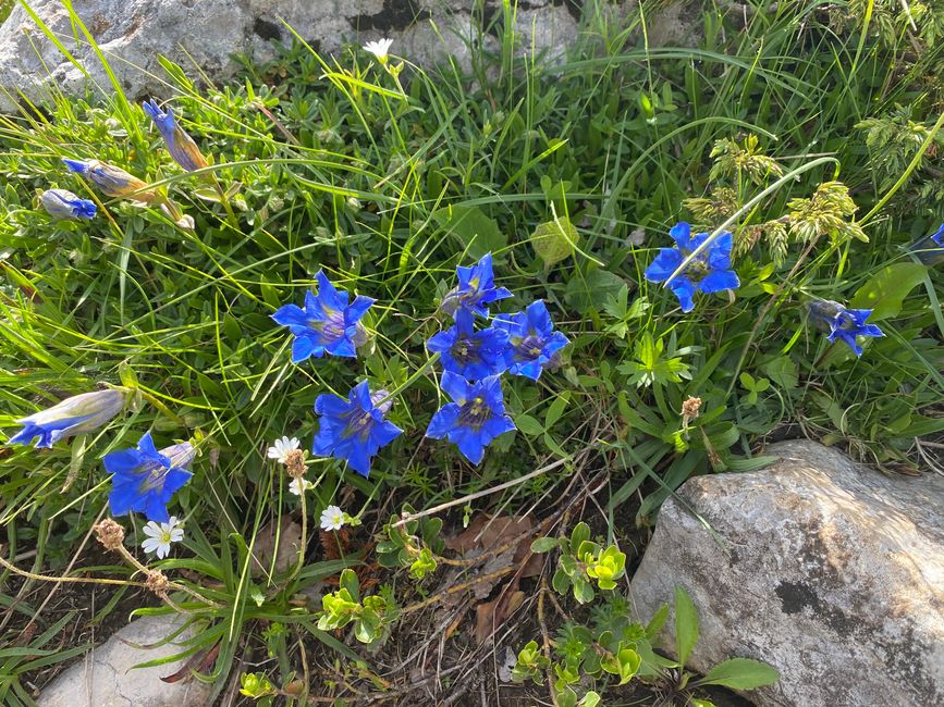 Wanderung auf den Pic Saint-Michel (Grenoble)