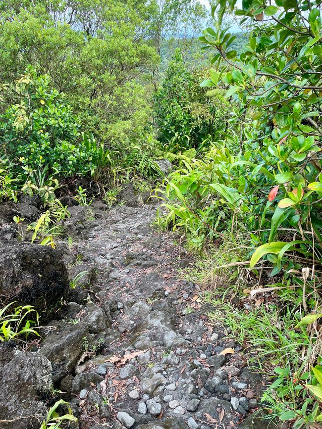 das ehemalige Lavafeld ist heute Teil des Wanderwegs - sehr beschwerlich mit kaputtem Fuß 
