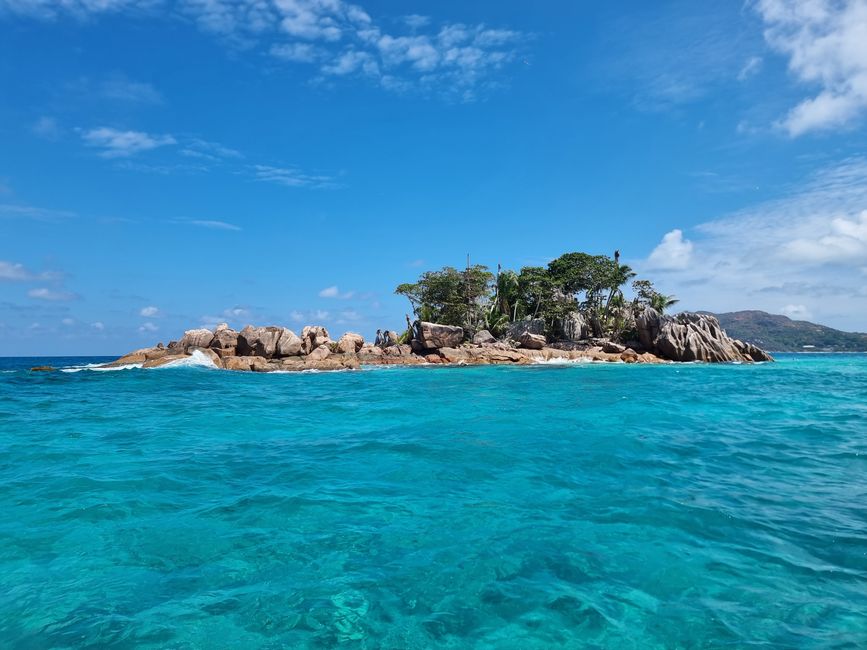 Seychelles - Giorno 13: Isola delle Tartarughe, ultimo snorkeling e viaggio di ritorno
