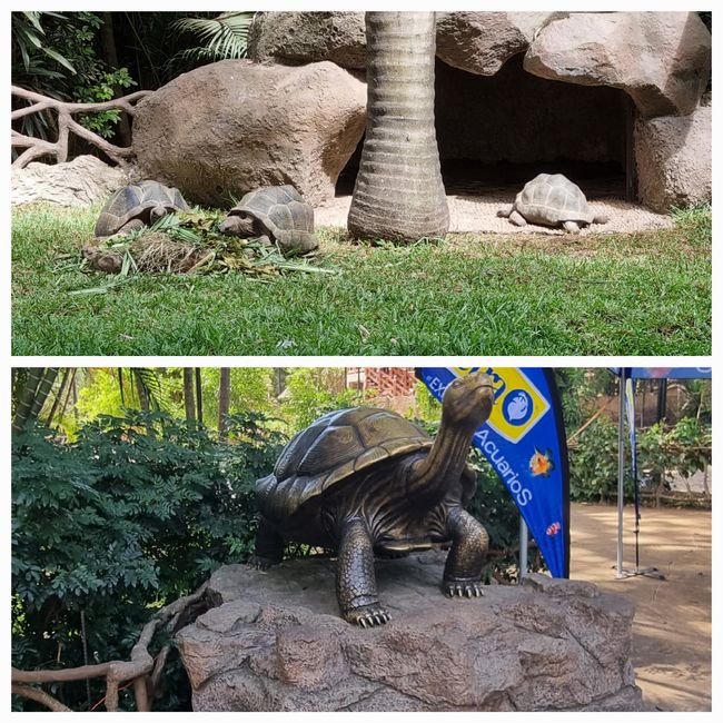 Tag drei: Zoo Aurora und Stadtteil Cayala