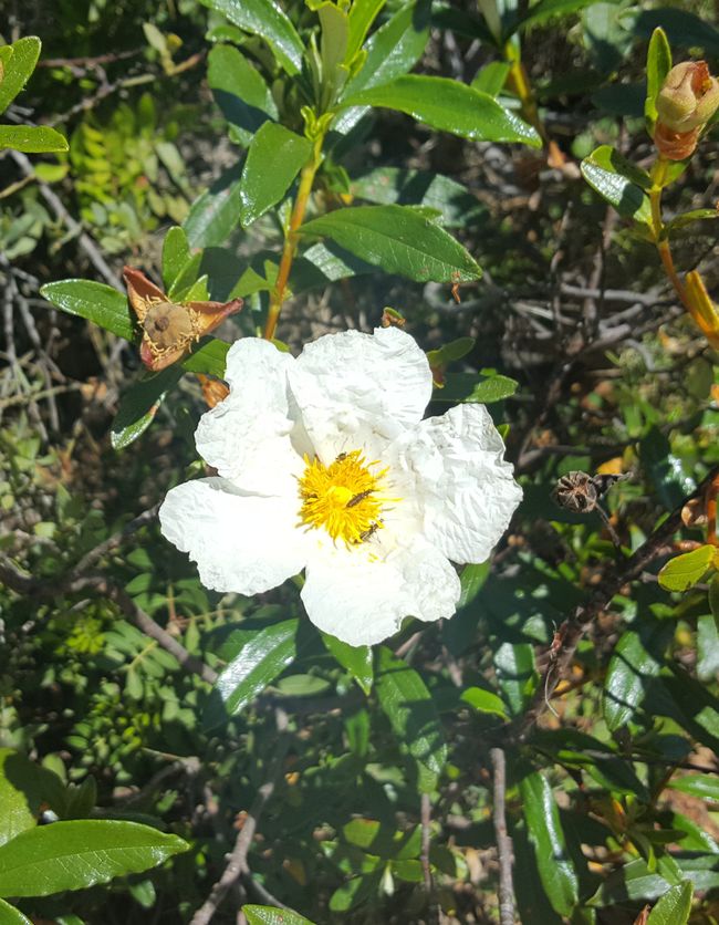 hiking-in-portugal