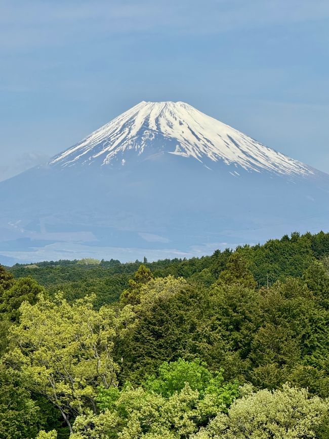 Part 11 Japan 🇯🇵 Mishima / Fuji Part 2