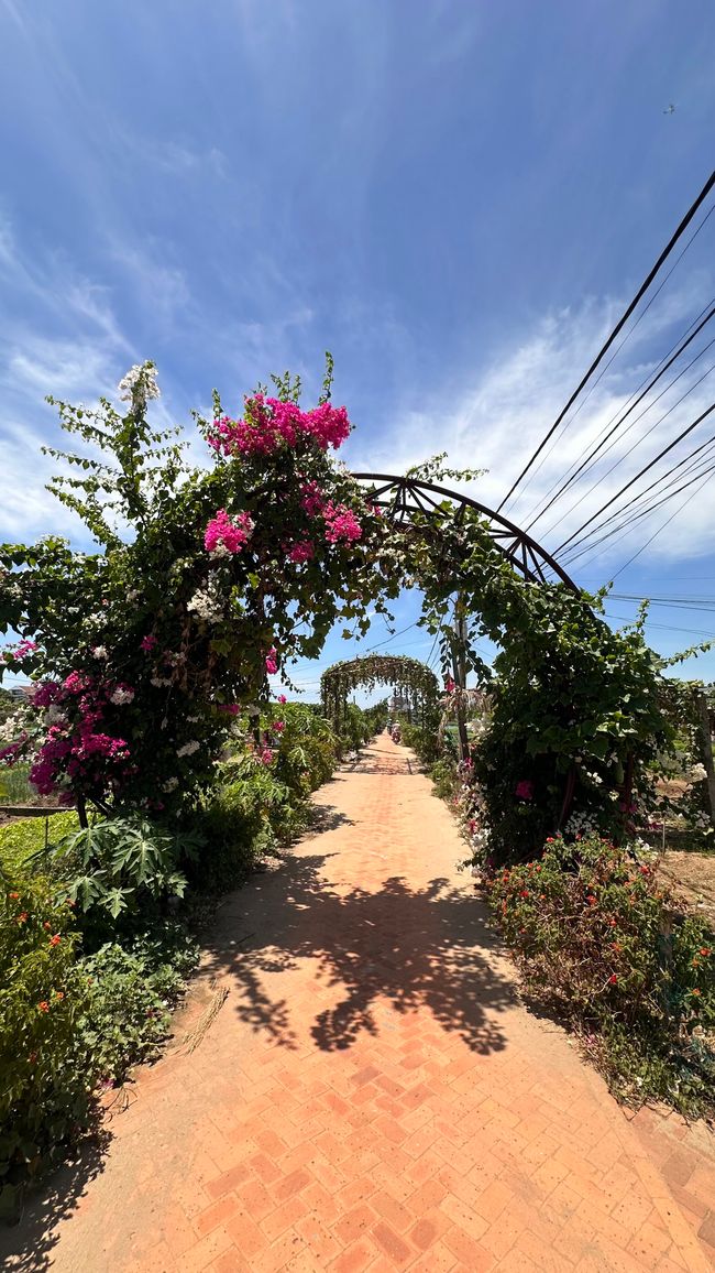 Craft regions around Hoi An - Part 1