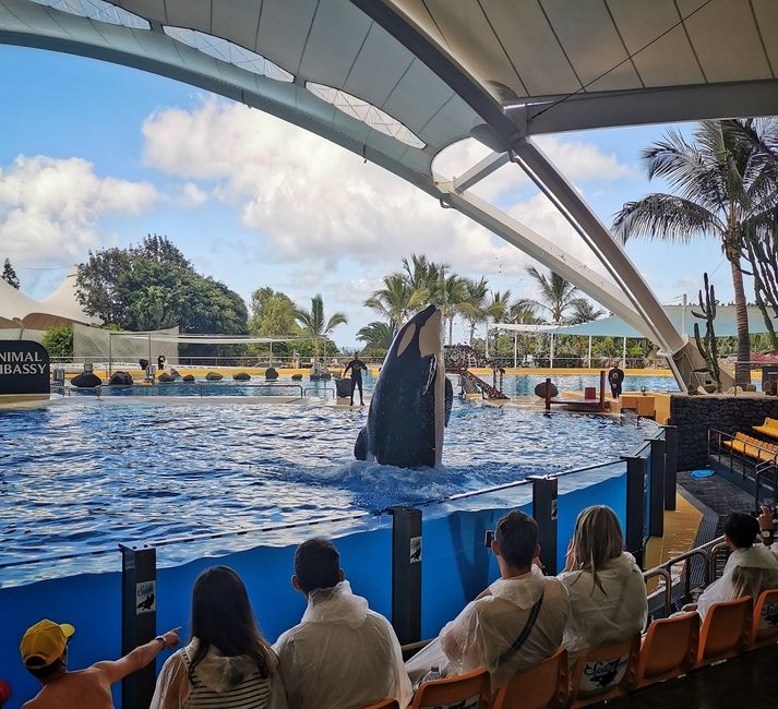 Loro Parque - zoo