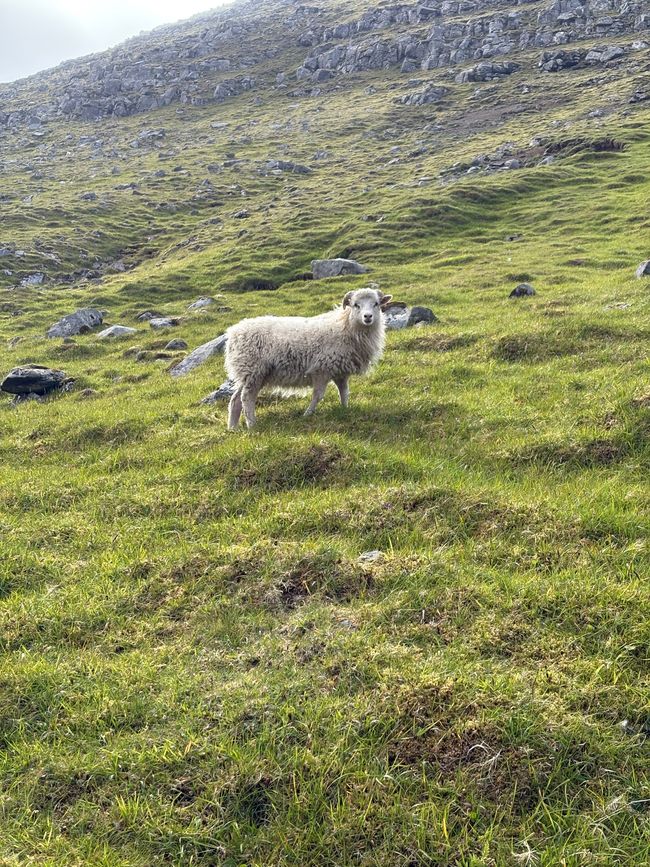 Noch eine Wanderung