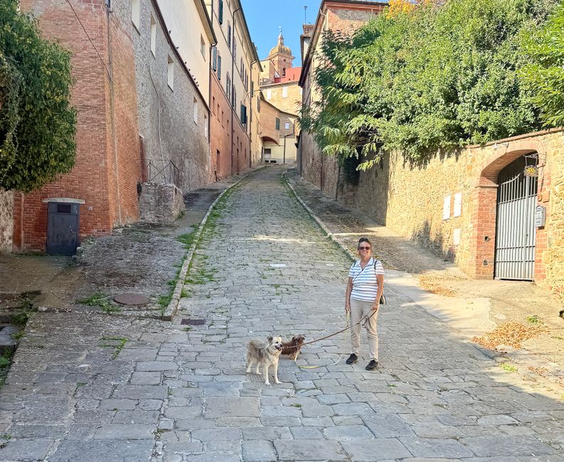Der Weg ins Zentrum von Sinalunga war beschwerlich – nicht für die Hunde.
