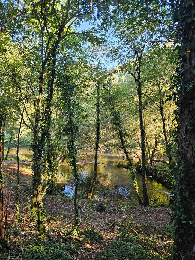 Etapa 4: Marinhas - Viana do Castelo