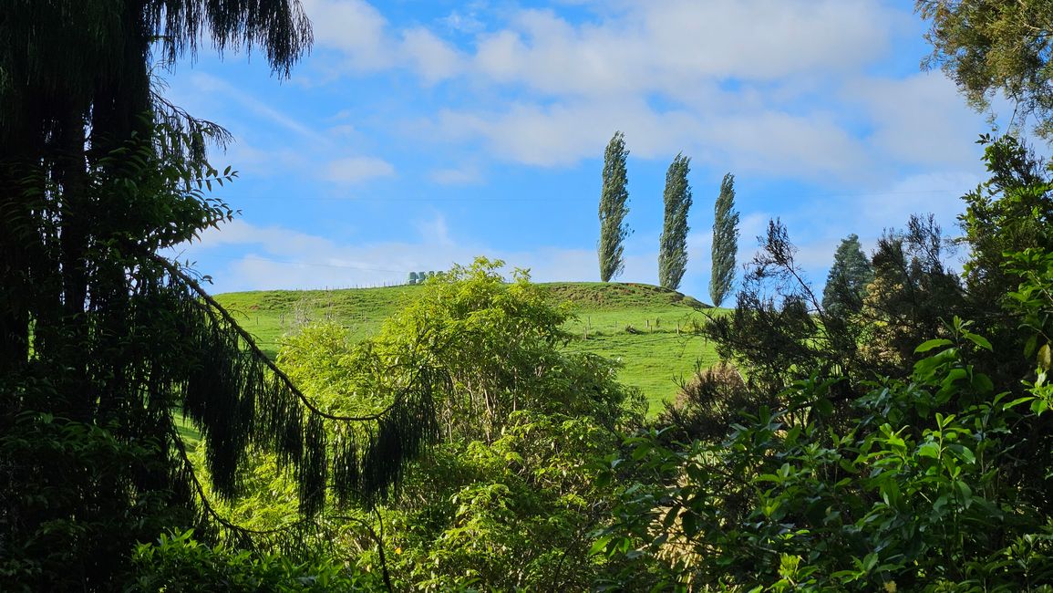 Piopio - Te Kūiti - Waitomo Caves