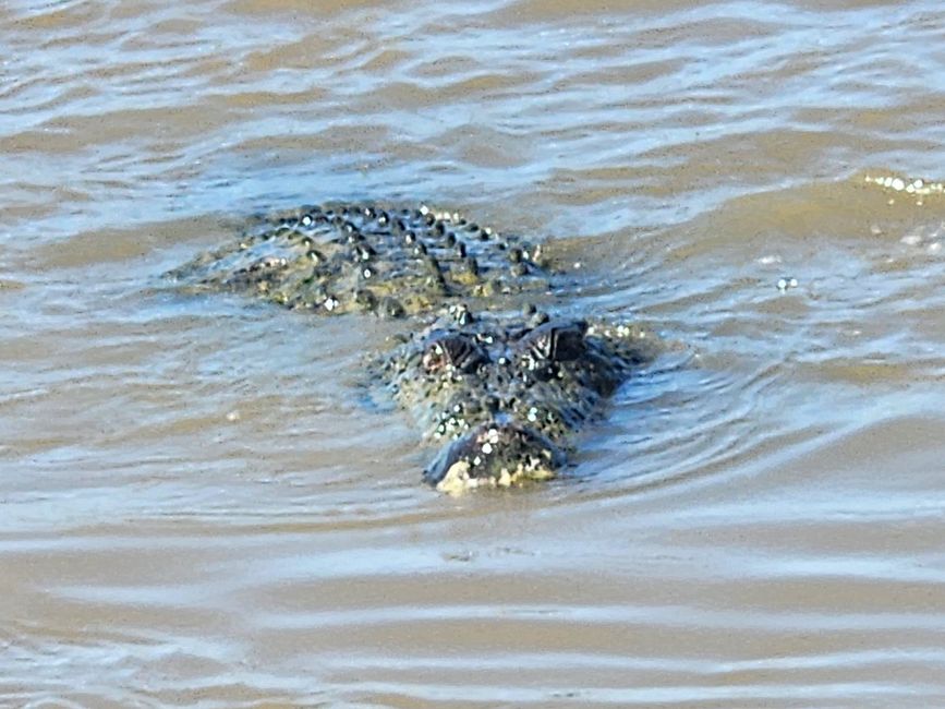 Tag 3, 27. April: Jumping Crocodiles!