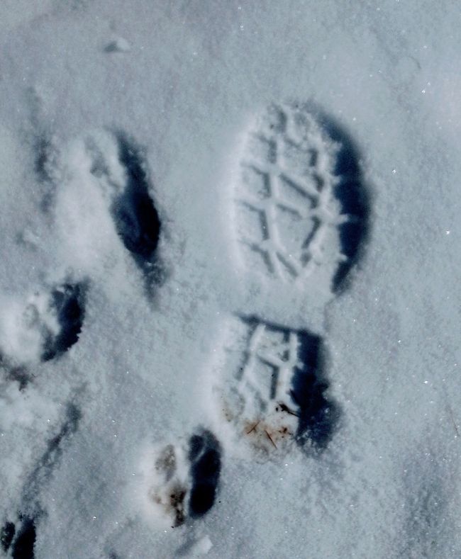 Reset - Neve di ieri, o quale fondamento vuoi costruire?