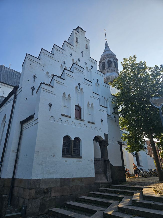 Budolfi Kirke - Dom zu Aalborg