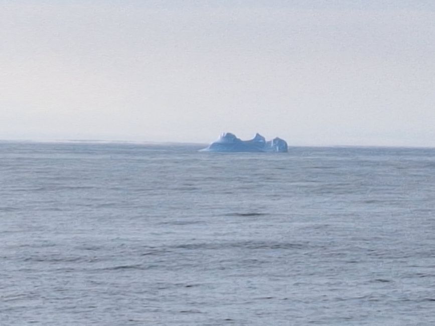 Sailing Day/ Prins Christian Sund